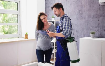 Essential Tips for Queensland Buyers